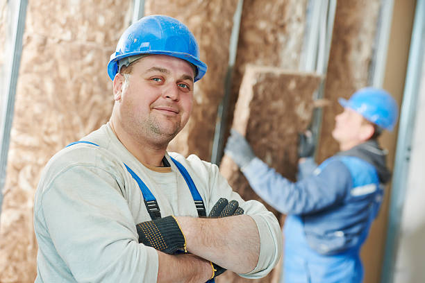Best Residential Insulation in Burleson, TX
